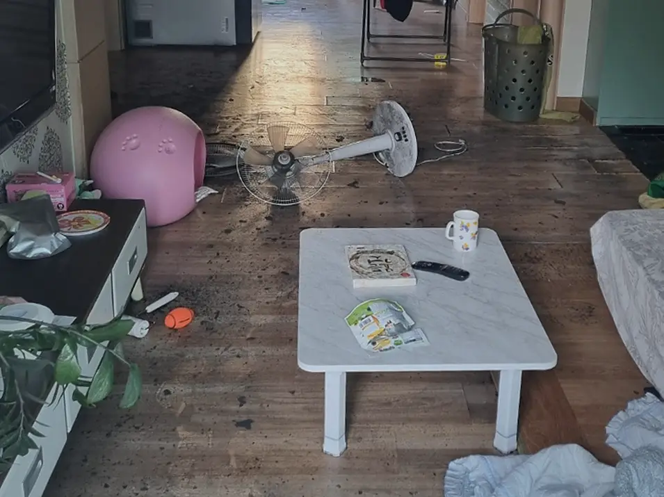 종로구 화재청소 단가 쓰레기집·저장강박 정리