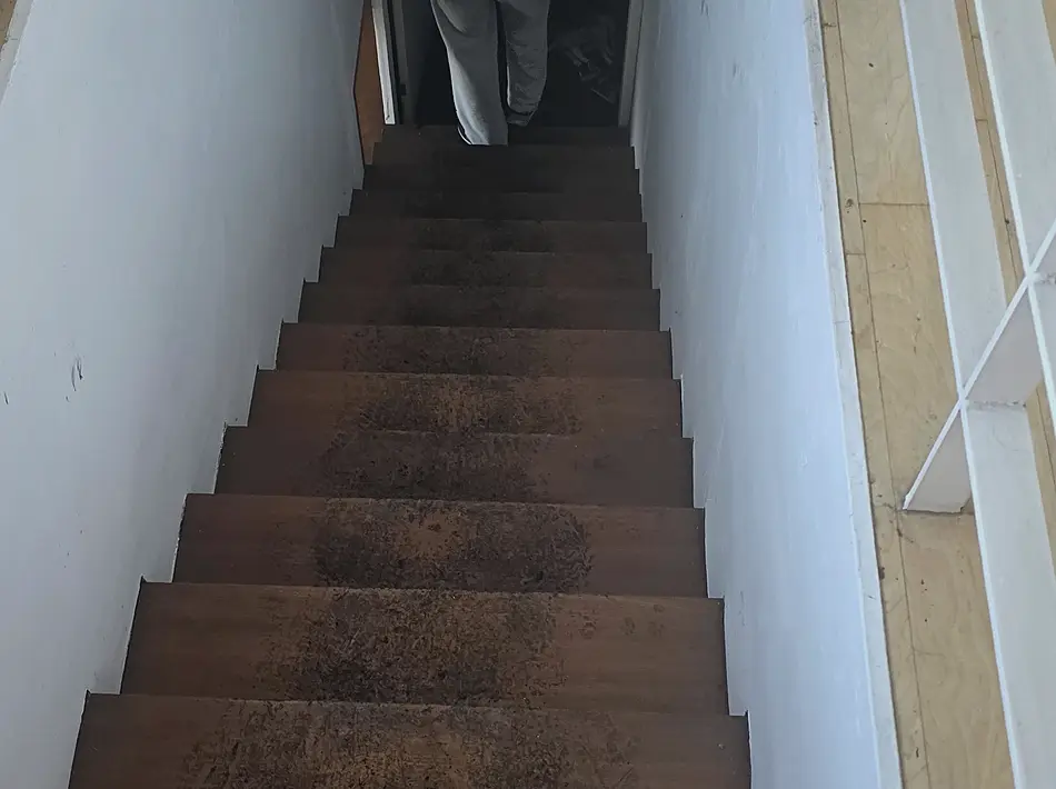 부천 원미구 화재청소 업체 진행 모습 4